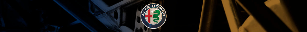 Banner image of a custom roll cage featuring the Alfa Romeo logo